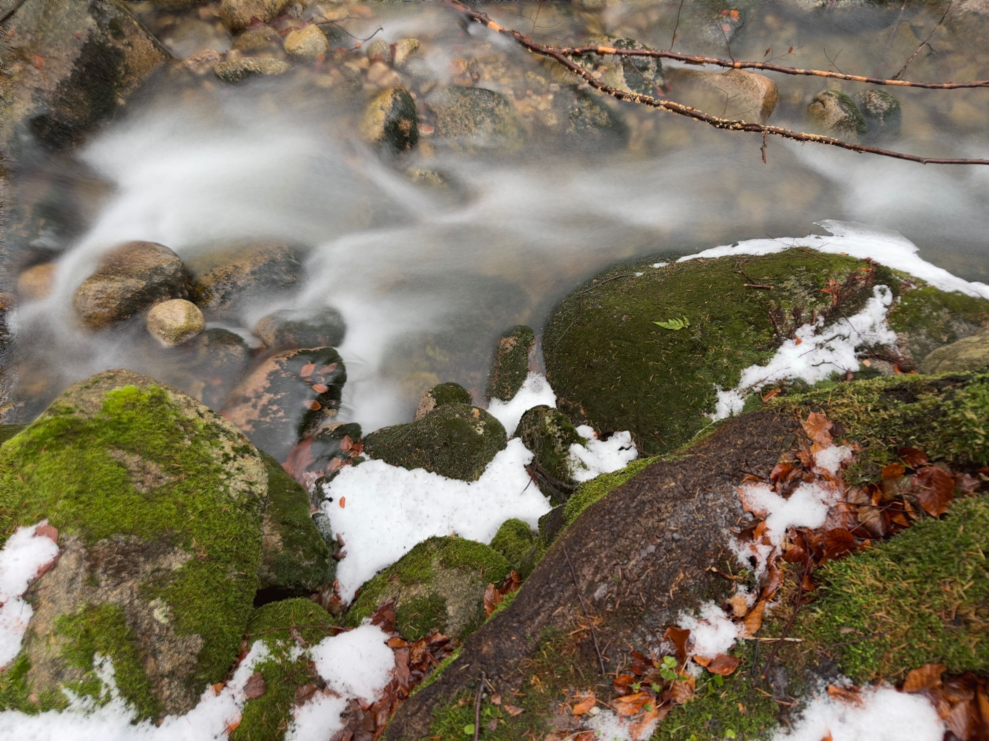 Natur im Rhein-Main-Gebiet – Schauplatz des geplanten Wim Hof Intensiv-Retreats